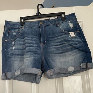 Time and Tru Distressed Blue Jean Shorts